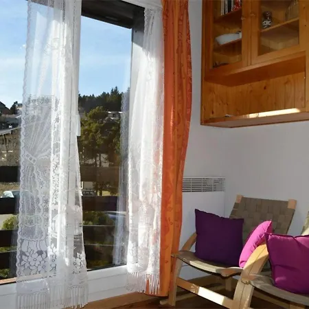 Cosy Proche Des Pistes - Sud-ouest, Equipe Pour 3 Pers., Animaux Acceptes - Fr-1-592-25 Apartment