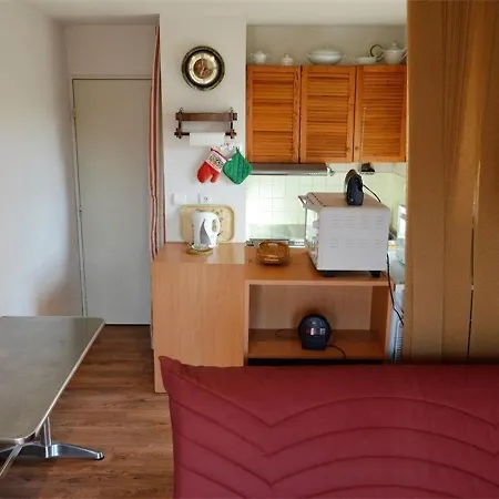 Cosy Proche Des Pistes - Sud-ouest, Equipe Pour 3 Pers., Animaux Acceptes - Fr-1-592-25 Apartment