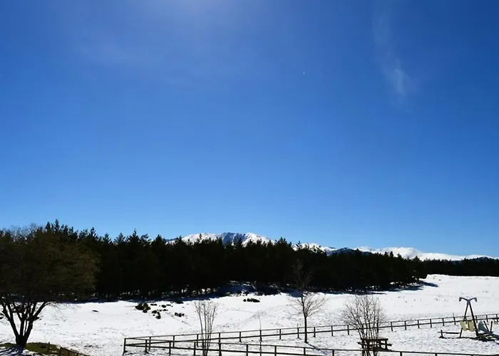 Cosy Proche Des Pistes - Sud-ouest, Equipe Pour 3 Pers., Animaux Acceptes - Fr-1-592-25 *
