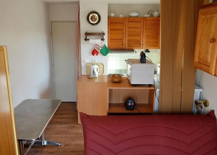 Cosy Proche Des Pistes - Sud-ouest, Equipe Pour 3 Pers., Animaux Acceptes - Fr-1-592-25 Apartman